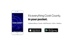 Cook County ISD 166 New App